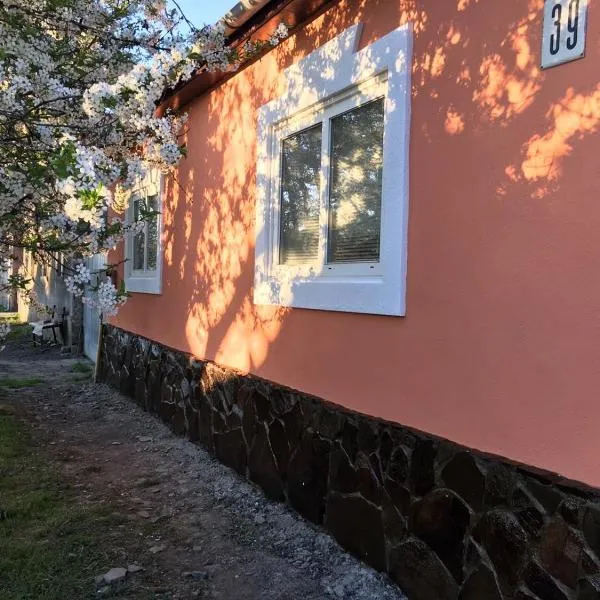 Sadyba u Mykhaila, hotel v destinaci Kosoň