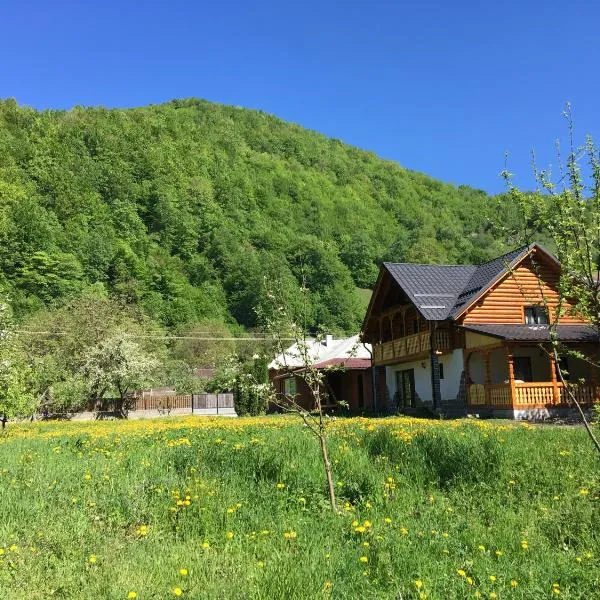 Casa Nova, hotel in Vişeu de Sus