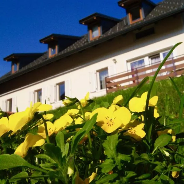 Apartmaji Pri Kokolu, hotel a Bled