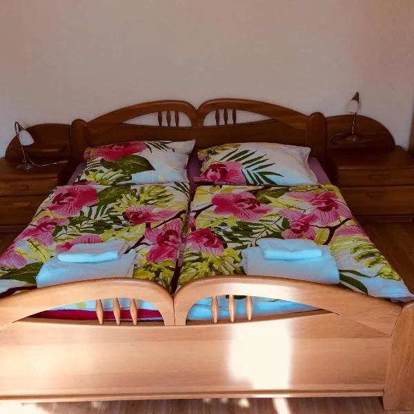 Apartment Elli, hotel in Františkovy Lázně