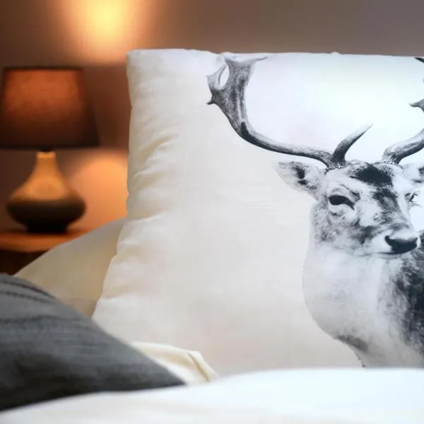 Górska Rezydencja，位于卡尔帕奇的酒店