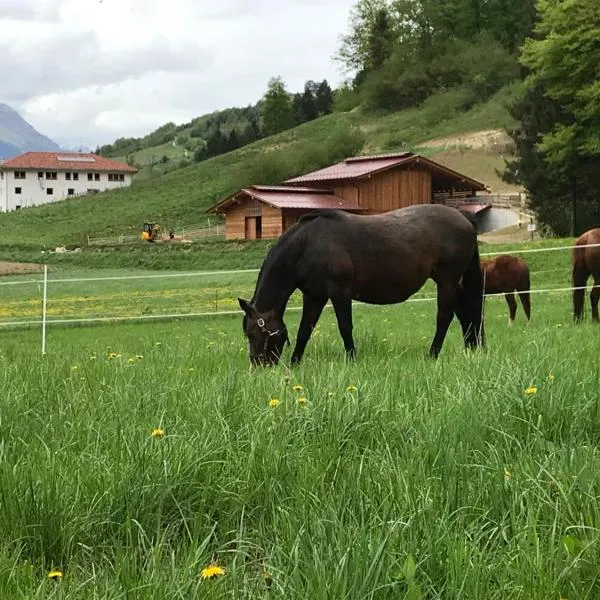 코마노 테르메에 위치한 호텔 AGRITURISMO MASO PERTENER -adults only-