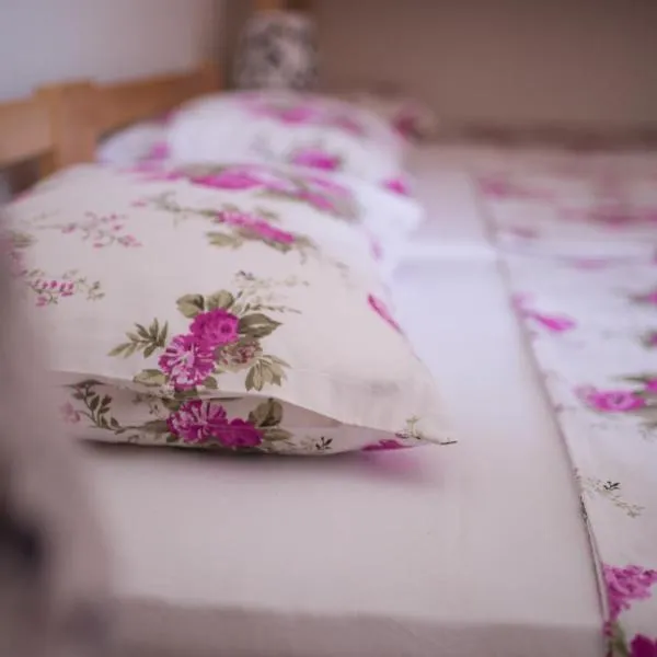 Hostel Larisa, hotel in Banja Luka