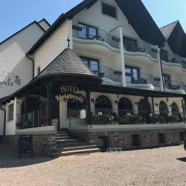 Hotel Merle, hotel di Bruttig-Fankel