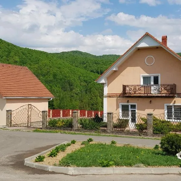 Lara, hotell sihtkohas Solotšin