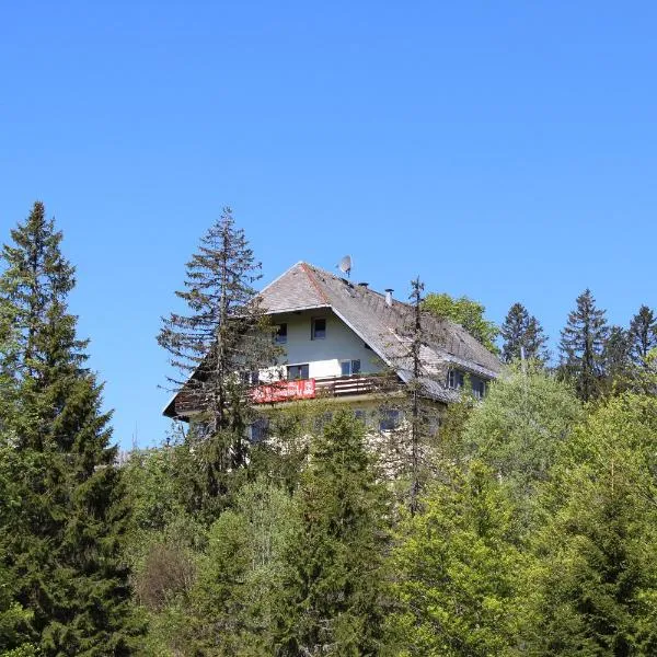 Boutique Hotel Kokoschinski: Feldberg'de bir otel