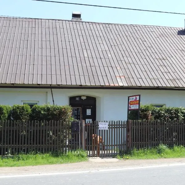 Apartmán Nelinka, hotel in Rudná pod Pradědem