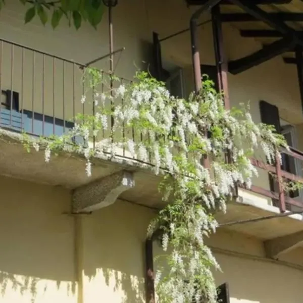 Belgirate il Lavatoio, hotell i Belgirate
