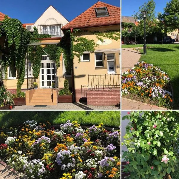 Tulipán Villa Panzió, Hotel in Szolnok