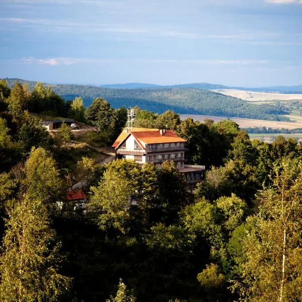 Hotel Srebrna Góra, hotel en Niemcza