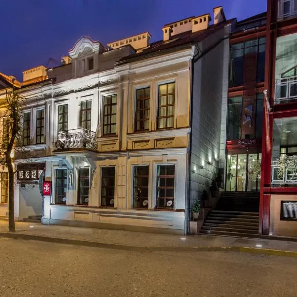 Šaulys, hotel in Šiauliai