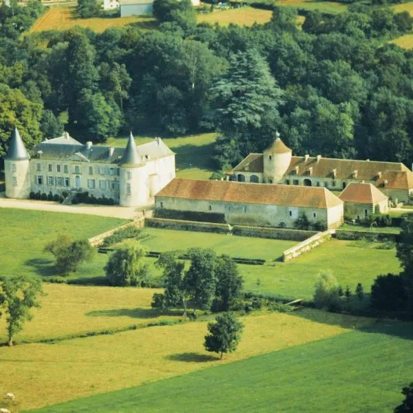 Château de Beaujeu, hotel in Sury-en-Vaux