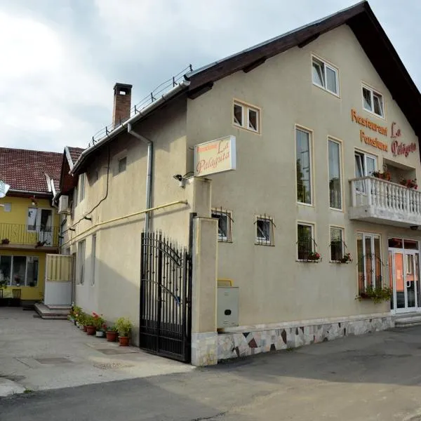 Pensiunea La Palaguta, hotel in Baia Mare
