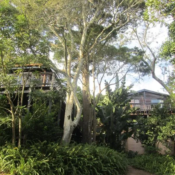 Treehouse Cottage，克拉格斯的飯店