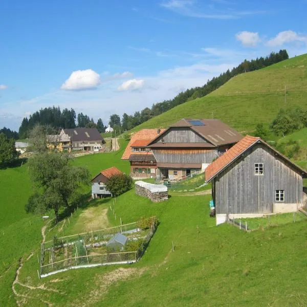 Apartment Ober-Tiefenbühl, hotel in Hasle