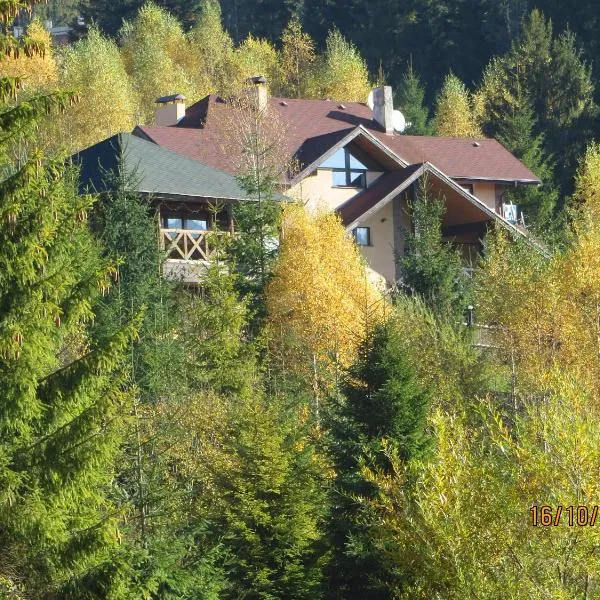 Yalivets, hotel in Kozevo