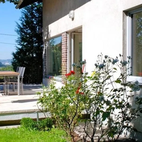 Apartment Sternentor, hotel v destinaci Engerwitzdorf