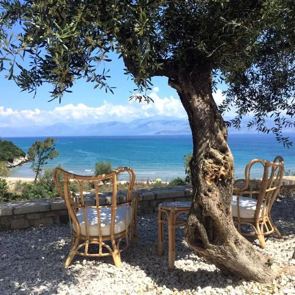 Vista Petros, hotel v destinaci Apraos