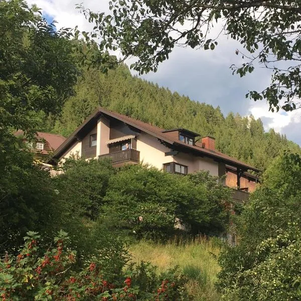 Haus Agnes, Murau, hotel v destinaci Murau