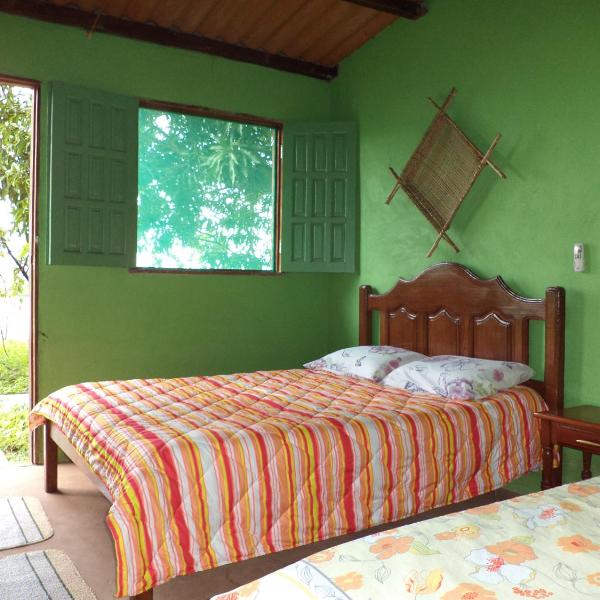 Anaconda Amazon Island - Foto 2