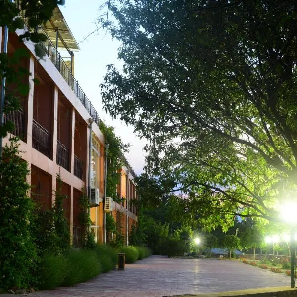 Avenue Park Hotel、Yusufkhonaのホテル