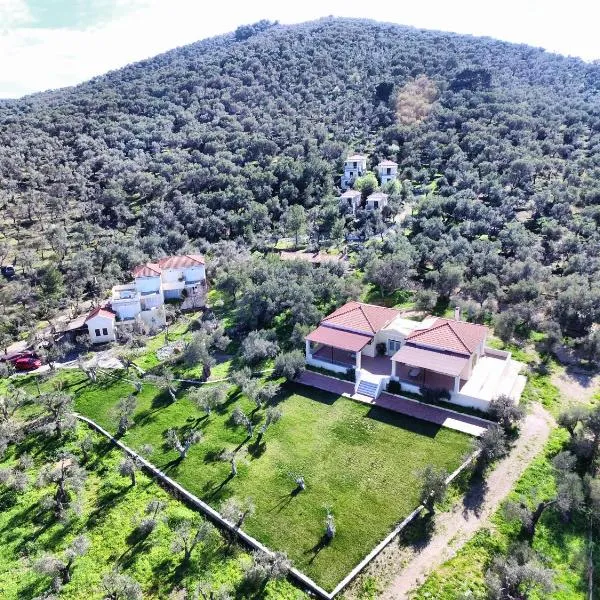 Gera's Olive Grove - Elaionas Lesvou, hotel in Perama