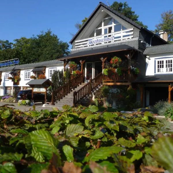 Hotel Restaurant Les Pins logis, hotel v destinácii Haguenau