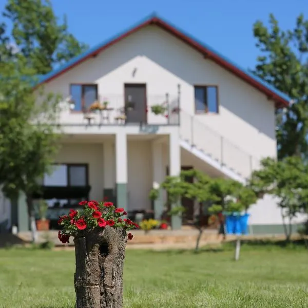 Pensiunea Palaghia, hotel din Salcioara