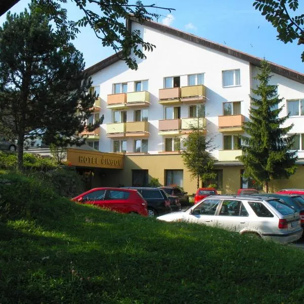 Hotel Čingov Slovenský raj, hotel in Huta