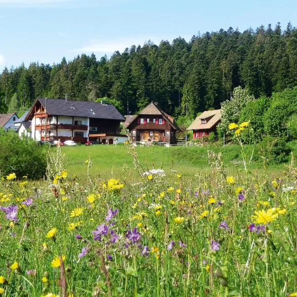 Landhaus Anja、フロイデンシュタットのホテル