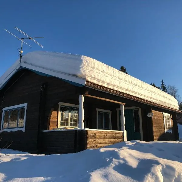 Vasa Ski Lodge, hotel i Älvdalen