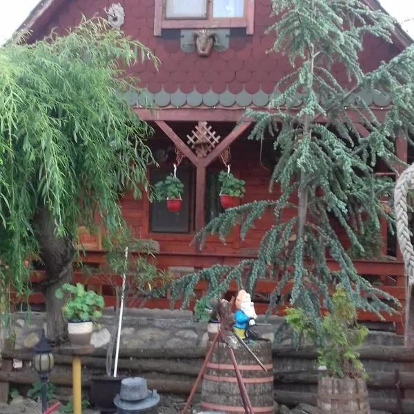 Casa Vladut, hotel din Babadag