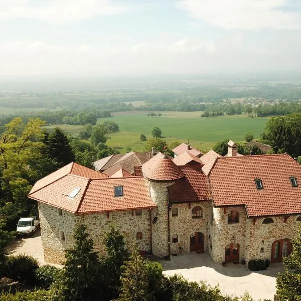 Les Lumières de Genève, viešbutis mieste Grilly