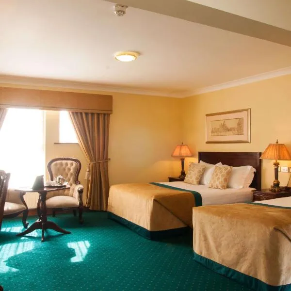 Meadow Court Hotel, hotel in Athenry