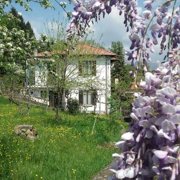 B&B Al Mutpron: Casale Corte Cerro'da bir otel