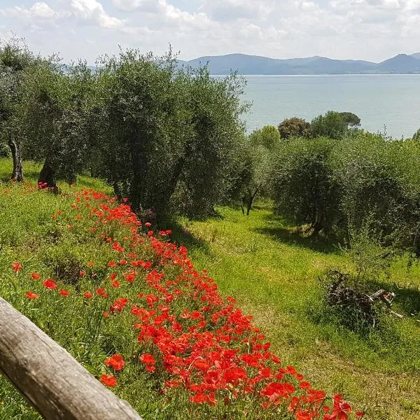 Antica casa di famiglia, hotel Castiglione del Lagóban