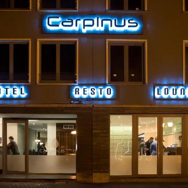 Hotel Carpinus, hotel v destinaci Lovaň