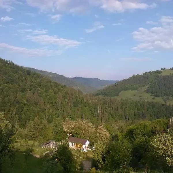 Casa cu Muscate, hotel in Cîmpeni