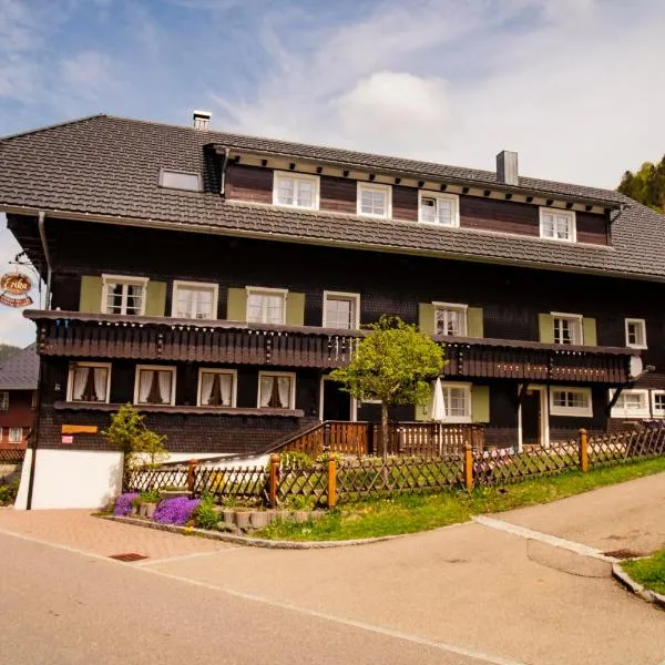 Gästehaus Erika, hotel in Menzenschwand