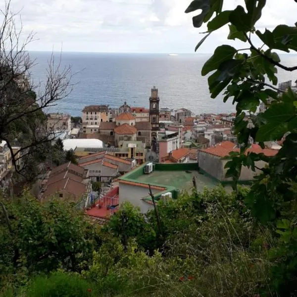 Appartamento Residence Costa D'Amalfi: Minori'de bir otel