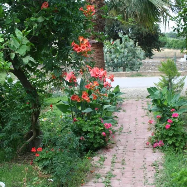 Naz Apartlari Cirali, hotell sihtkohas Çıralı