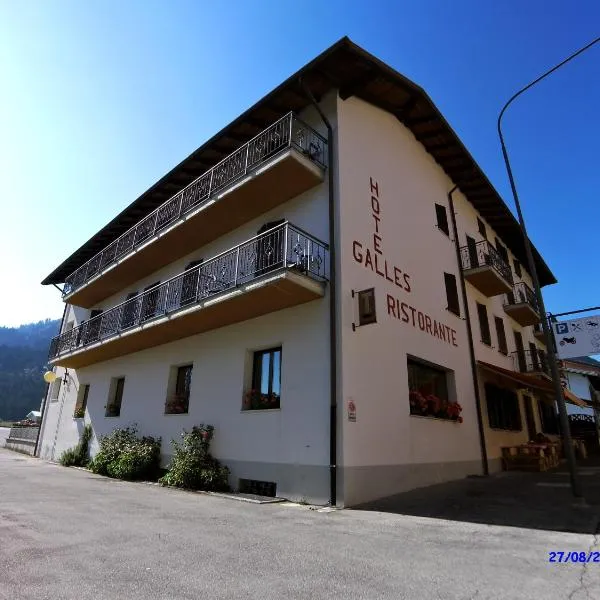 Hotel Galles, hotel in Treppo Carnico