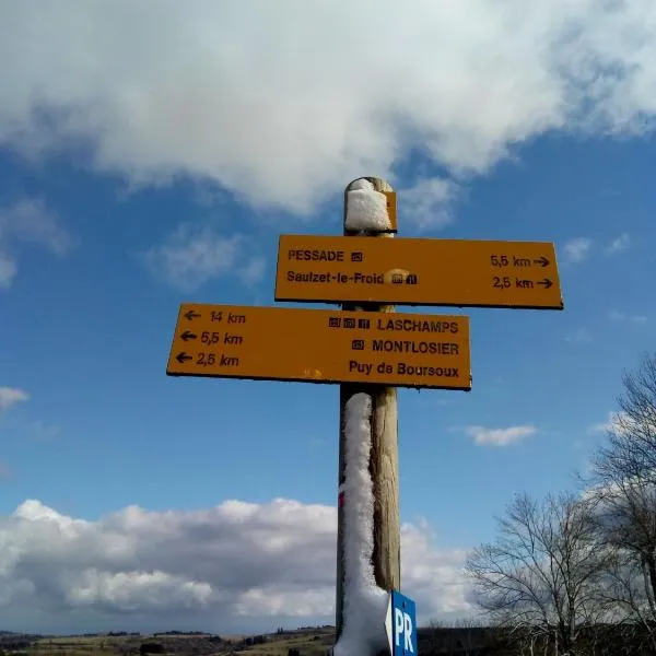 Gîte au pied des volcans d'Auvergne Aydat, hotel in Aydat