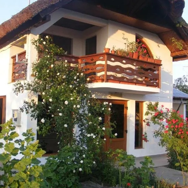 Casa Nicu Murighiol, מלון במוריגיול