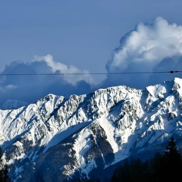 Pemberton Valley 1 bedroom suite walk to Village, hotel in Pemberton