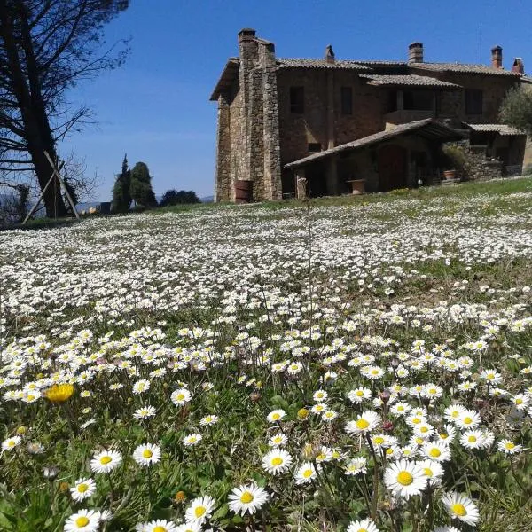 Agriturismo Le Roghete, hotell i Acquapendente