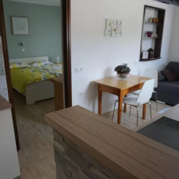 Apartma Irena Volče, hotel in Ajba