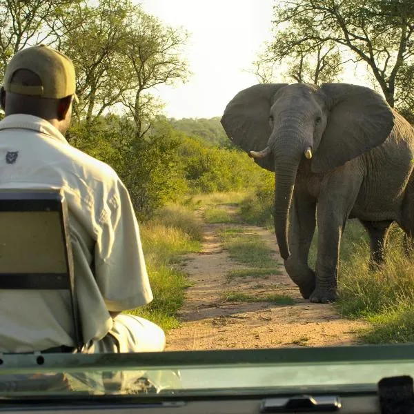 Lukimbi Safari Lodge, hótel í Hectorspruit