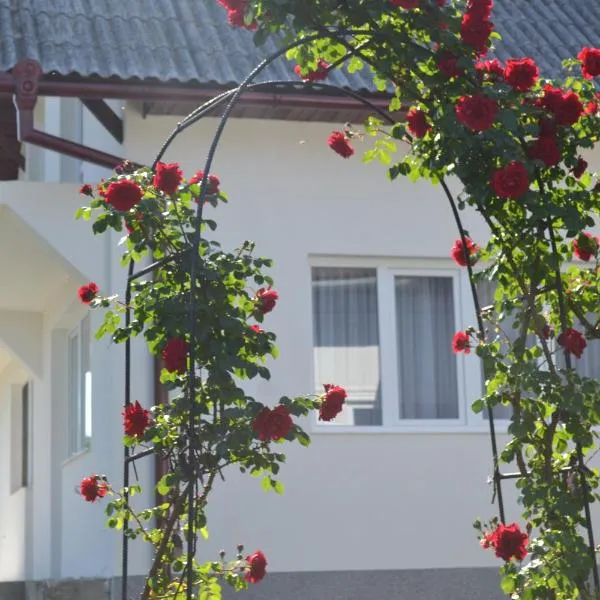 Casa Maria, hotel in Bistriţa Bîrgăului