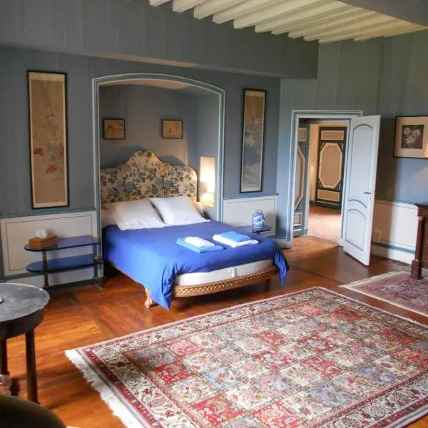Le Château d'Ailly – hotel w mieście Parigny